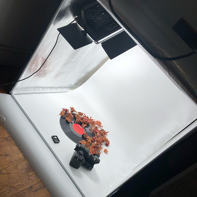 schallplatten Shooting